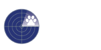 Small Animal Veterinary Surveillance Network
