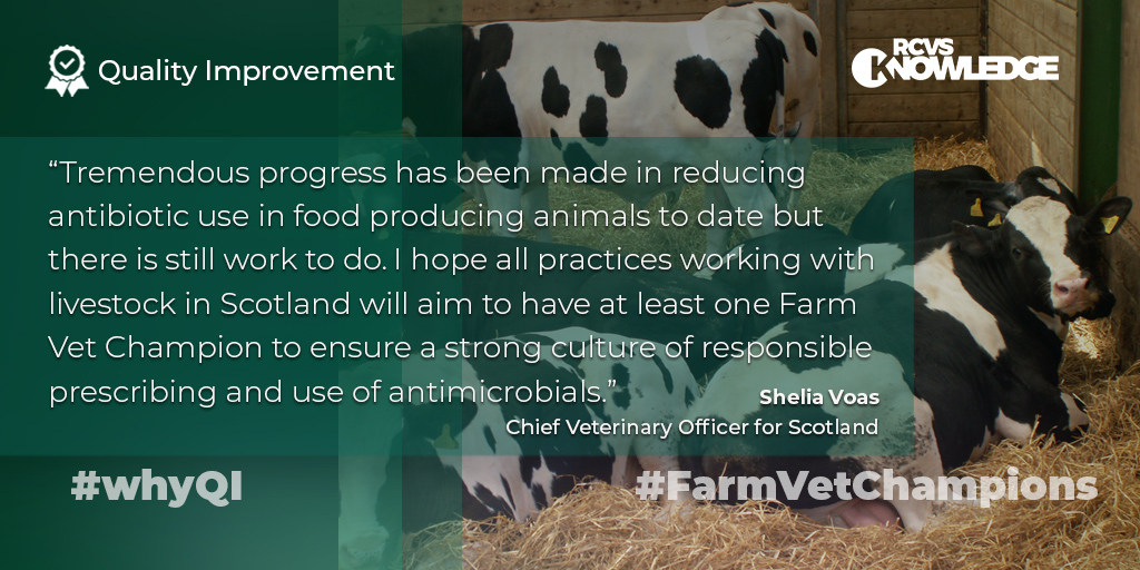 Quote from Sheila Voas, Chief Veterinary Officer for Scotland: "Tremendous progress has been made in reducing antibiotic use in food producing animals to date but there is still work to do. I hope all practices working with livestock in Scotland will aim to have at least one Farm Vet Champion to ensure a strong cultire of resonsible prescribing and use of antimicrobials."